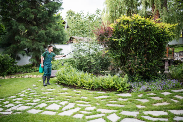 Best Pest Inspection Near Me  in Louisville, NE