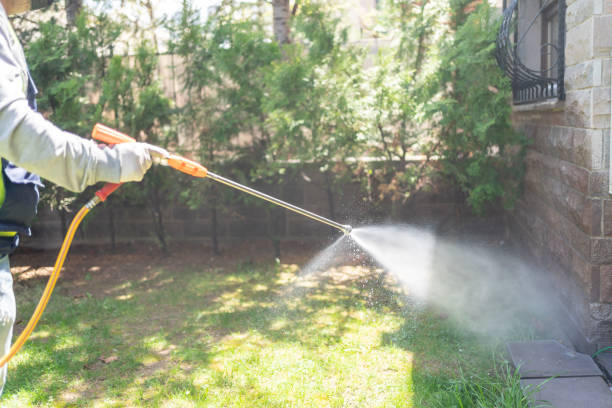 Best Local Pest Control Services  in Louisville, NE